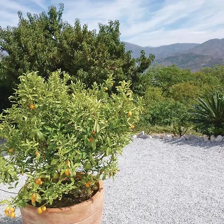 5 Bedroom Beautiful In *