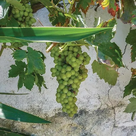 5 Bedroom Beautiful In Almuñécar